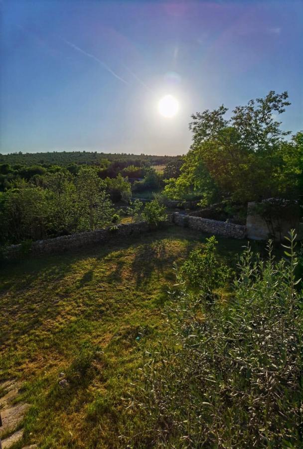 סבטי פטר Villa Dvori Dida Mile מראה חיצוני תמונה