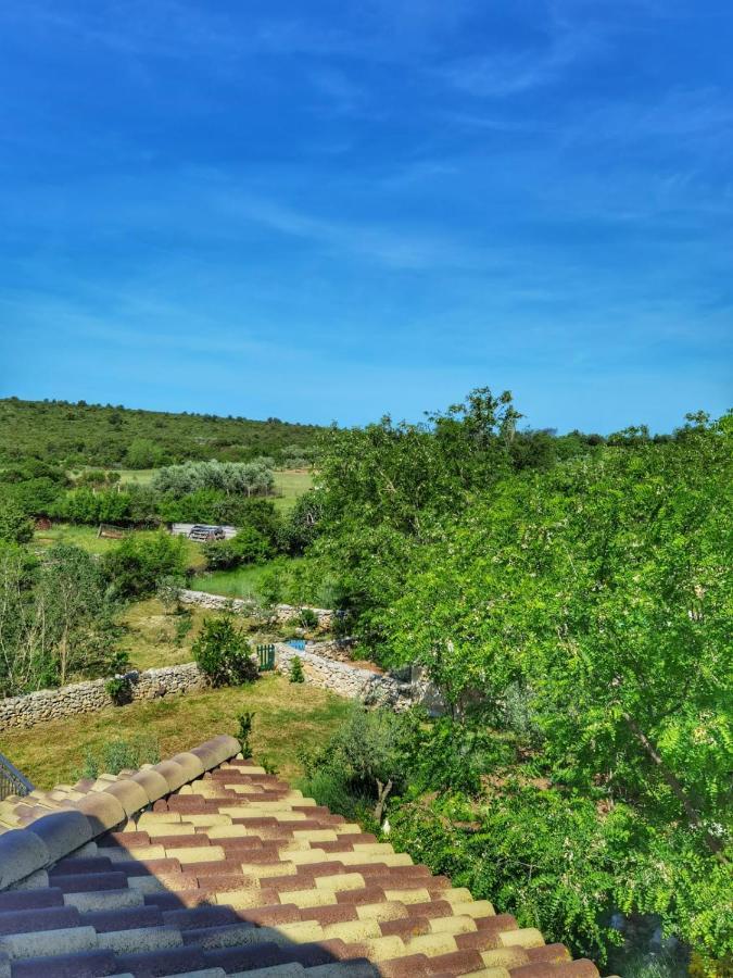 סבטי פטר Villa Dvori Dida Mile מראה חיצוני תמונה
