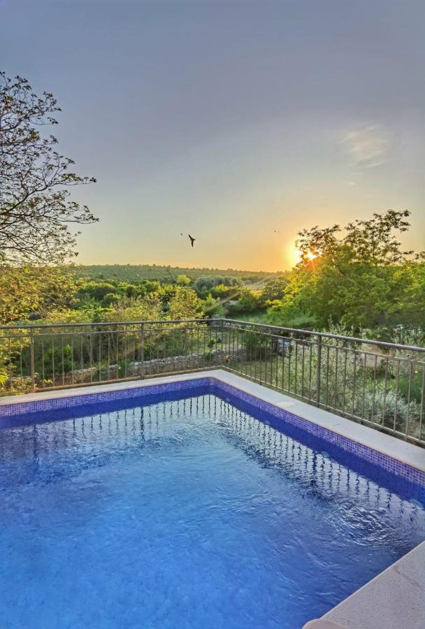 סבטי פטר Villa Dvori Dida Mile מראה חיצוני תמונה