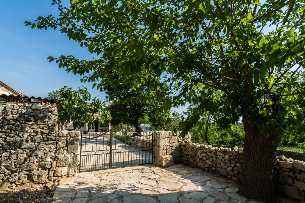 סבטי פטר Villa Dvori Dida Mile חדר תמונה