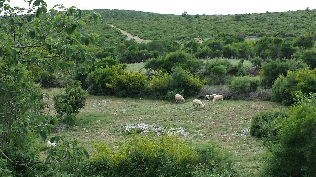 סבטי פטר Villa Dvori Dida Mile חדר תמונה