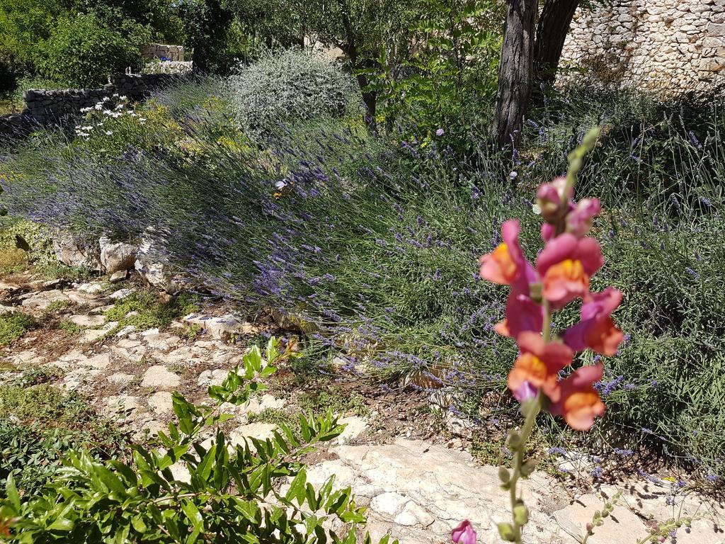 סבטי פטר Villa Dvori Dida Mile מראה חיצוני תמונה