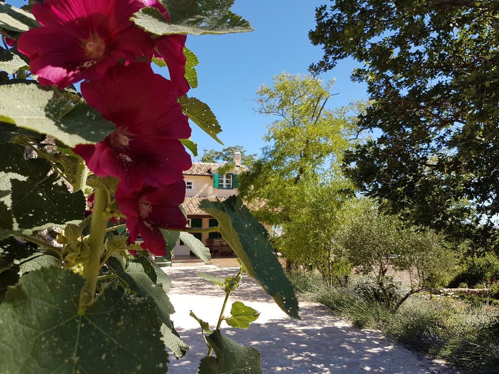 סבטי פטר Villa Dvori Dida Mile מראה חיצוני תמונה